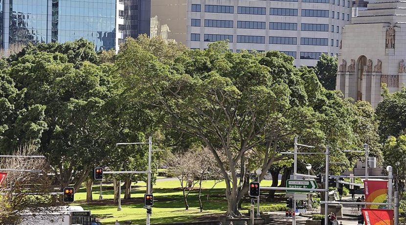 darlinghurst-18-oxford-st-09