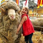 easter show